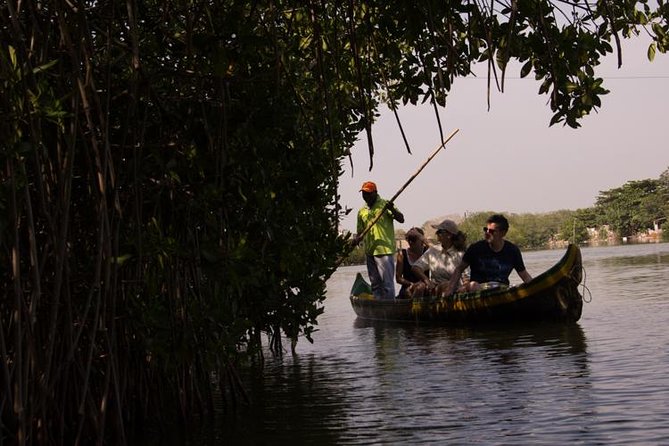 Explore La Boquilla’s Mangrove Tunnels with Local Fishermen - The quieter waterways of Ciénaga de Juan Polo