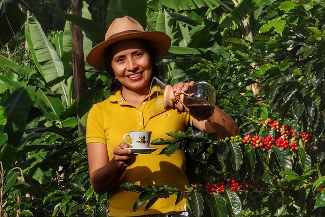 Explore the Coffee Process_From Tree to Cup & Fun by Jeep - Key points to know