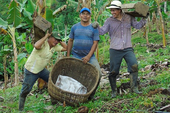 Explore the Coffee Process_From Tree to Cup & Fun by Jeep - Leaving Pereira in a classic coffee-country Jeep