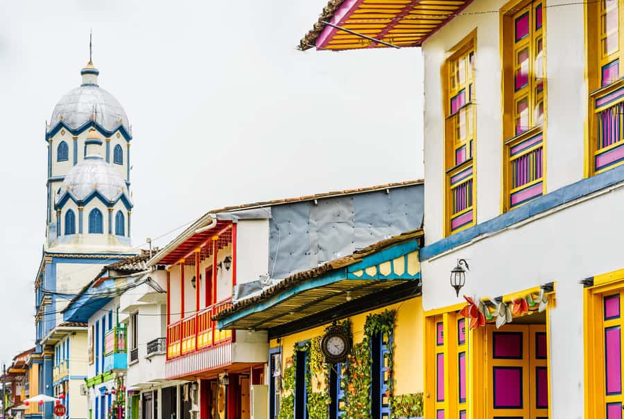 Filandia, Salento and Cocora Valley Private Tour - Why Cocora Valley Deserves the Early Attention