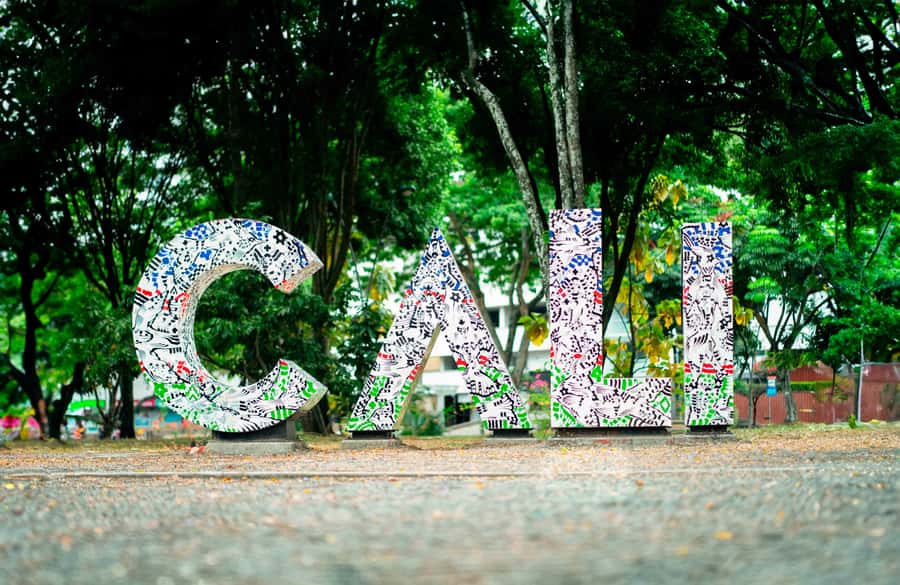 Flavors of Cali: Food tour at the local market - What to bring, and what to leave behind