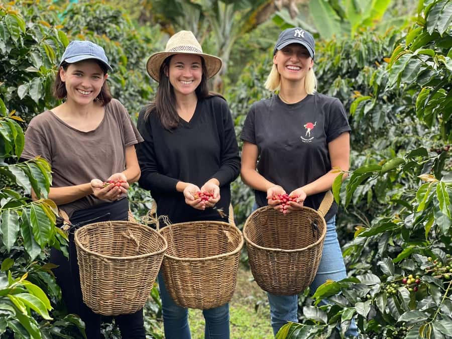 From Bogota: 5 hour guided coffe farm tour - All included - A Colombian breakfast before the farm walk