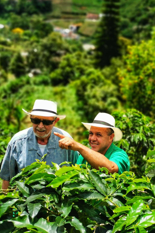 From Bogota: 5 hour guided coffe farm tour - All included - Traditional food at a local restaurant
