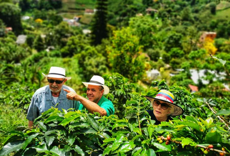 From Bogota: 5 hour guided coffe farm tour - All included - Meeting the farmers who grow the coffee