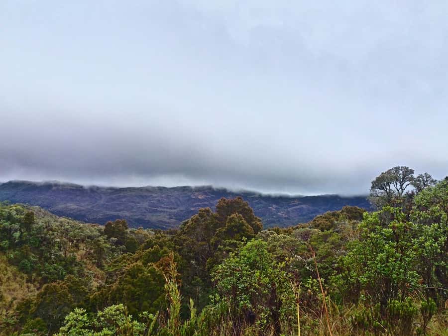 From Bogotá: Chingaza National Park Eco Tour - Key points to know before you go