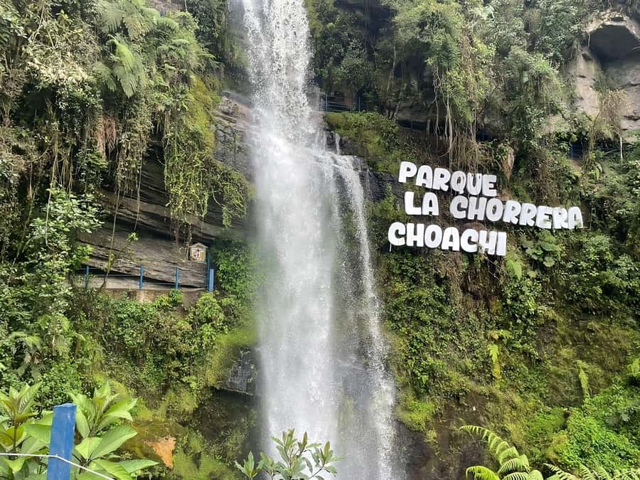 From Bogotá: Chingaza National Park Eco Tour - Who will enjoy this park day most