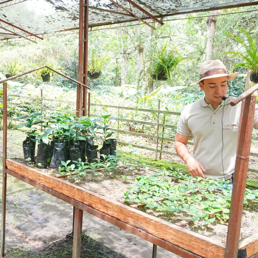 From Bogotá: Coffee Farm and Tequendama Falls Tour - Why this makes a good Bogotá day trip