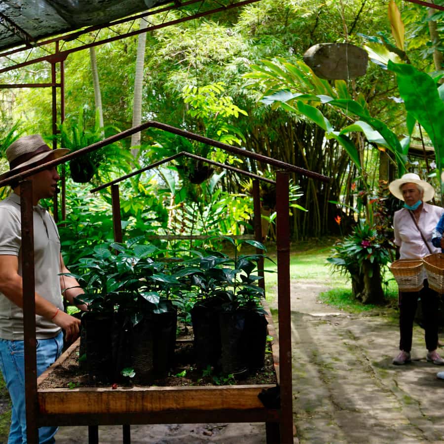 From Bogotá: Coffee Farm and Tequendama Falls Tour - Who will enjoy this day most?