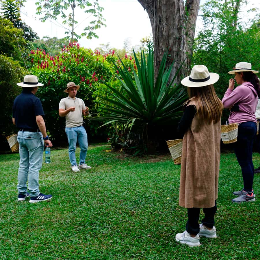 From Bogotá: Coffee Farm and Tequendama Falls Tour - Small details that make the day better