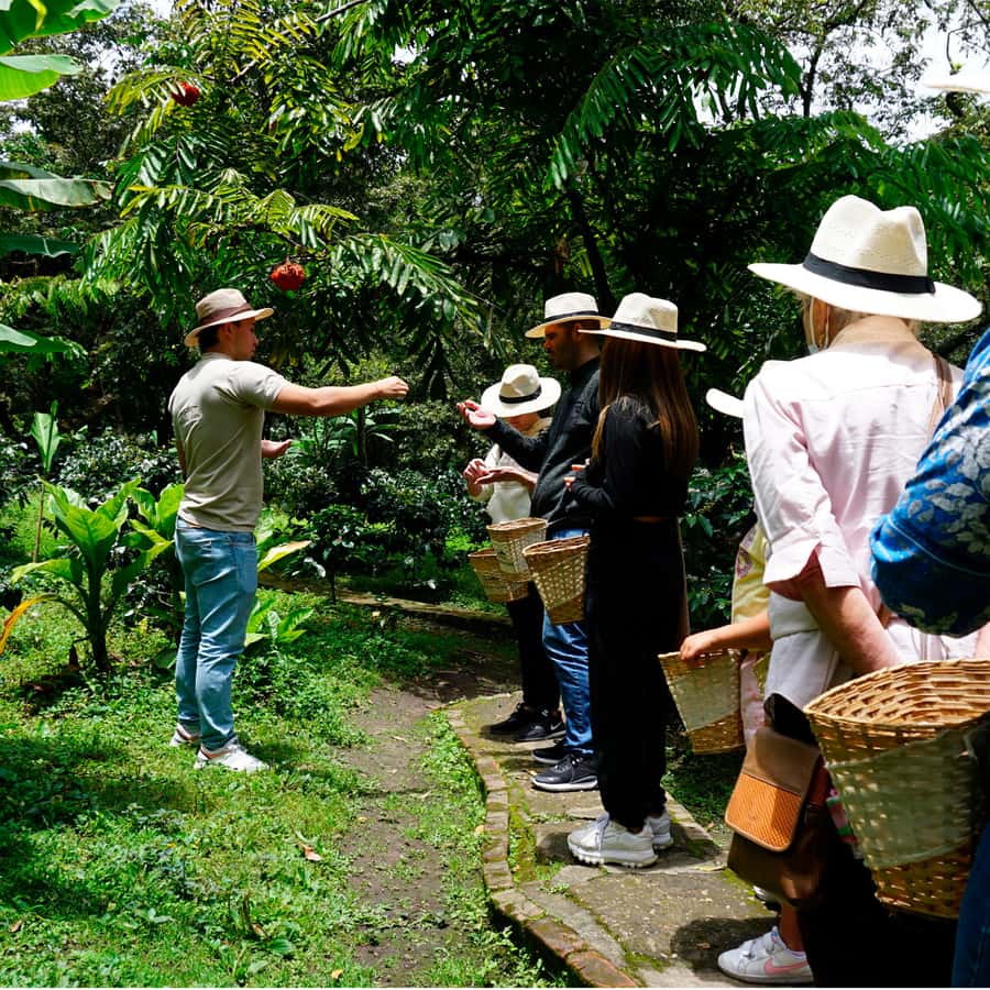 From Bogotá: Coffee Farm and Tequendama Falls Tour - Leaving Bogotá for Cundinamarca