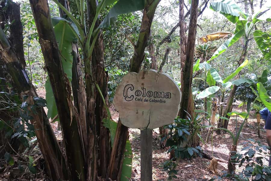 From Bogotá: Coffee Farm Experience Private Day Tour - From Bogotá to the coffee country near Fusagasugá