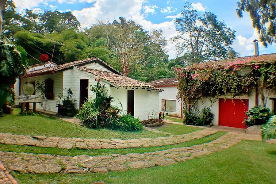 From Bogotá: Coffee Farm Experience Private Day Tour - Guides, language, and the private group setup