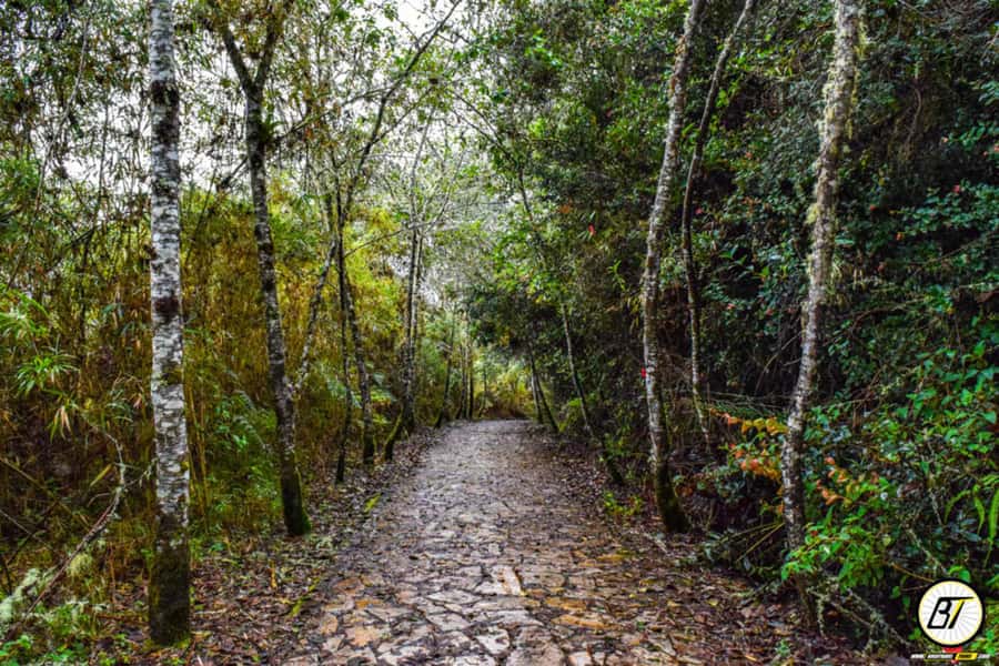 From Bogota: Guatavita Lake & Zipaquira Salt Cathedral Tour - Private transport and the long day