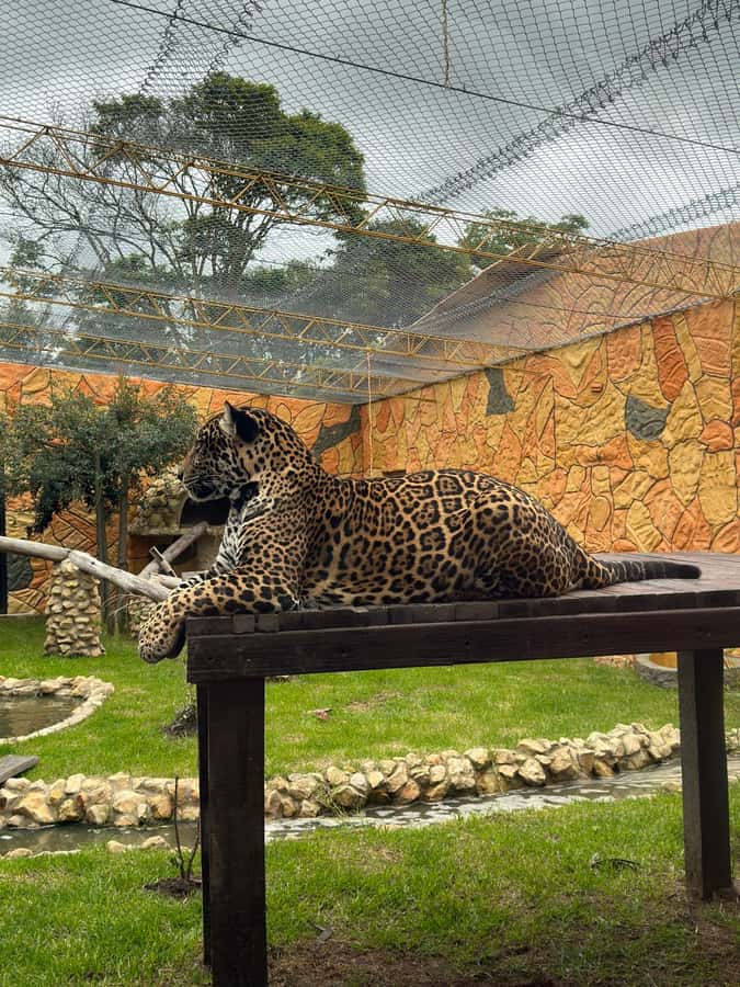 From Bogota: Jaime Duque Park and zoo with ticket included - The Giant Map of Colombia as an aviary