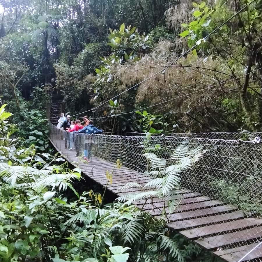 From Bogota: La Chorrera Waterfall Guided Hike - Final verdict: a strong nature day with one seasonal warning