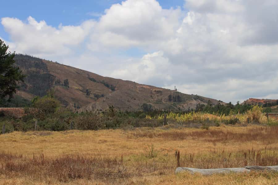 From Bogotá: Private Tour to Villa de Leyva - Ain Karim and the scale of Colombian wine