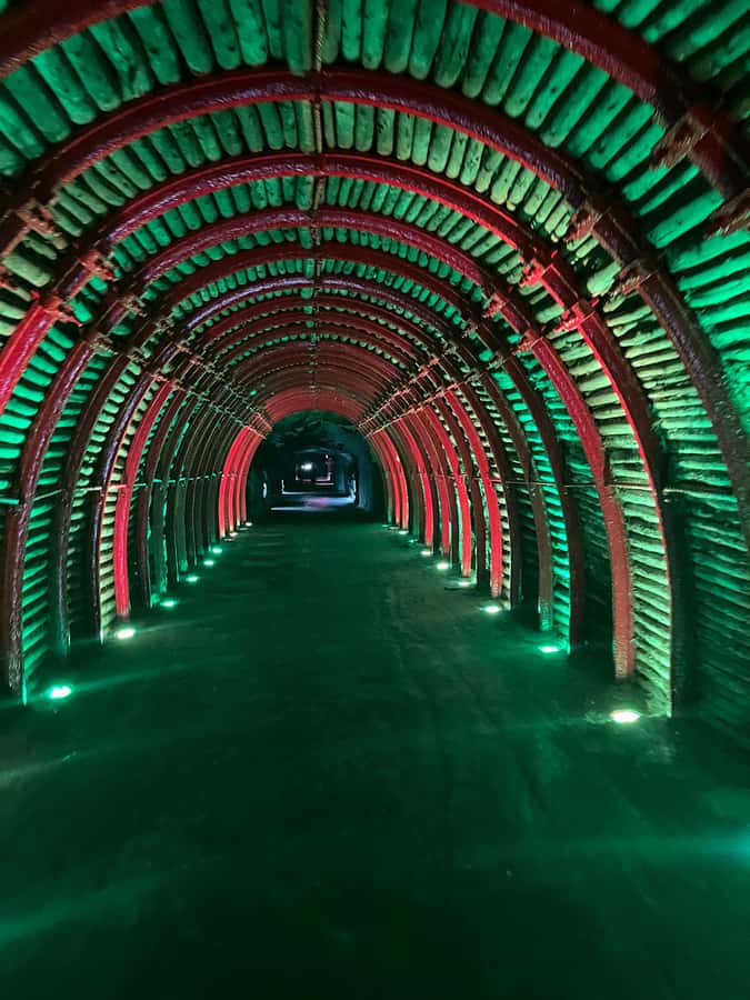 FROM BOGOTA: Salt Cathedral and Andrés Carne de Res (Chía) Tour - Why pair the Salt Cathedral with Andrés Carne de Res?