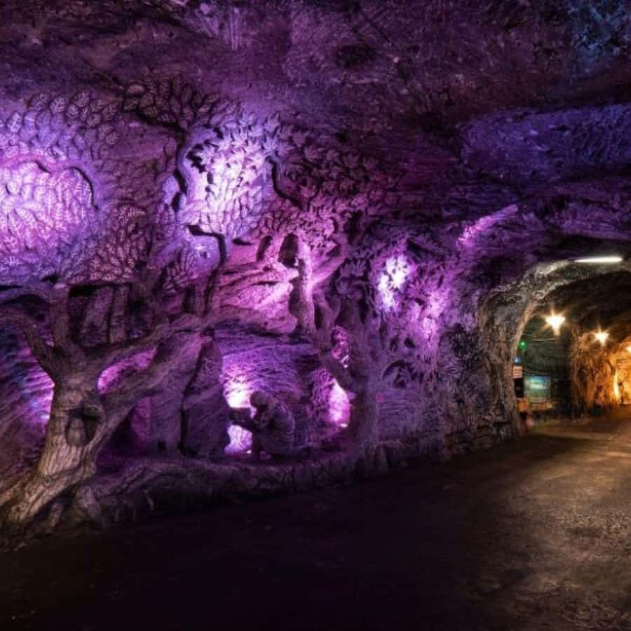 From Bogota: Salt Cathedral Tour in Zipaquirá - The one-hour drive from Bogotá