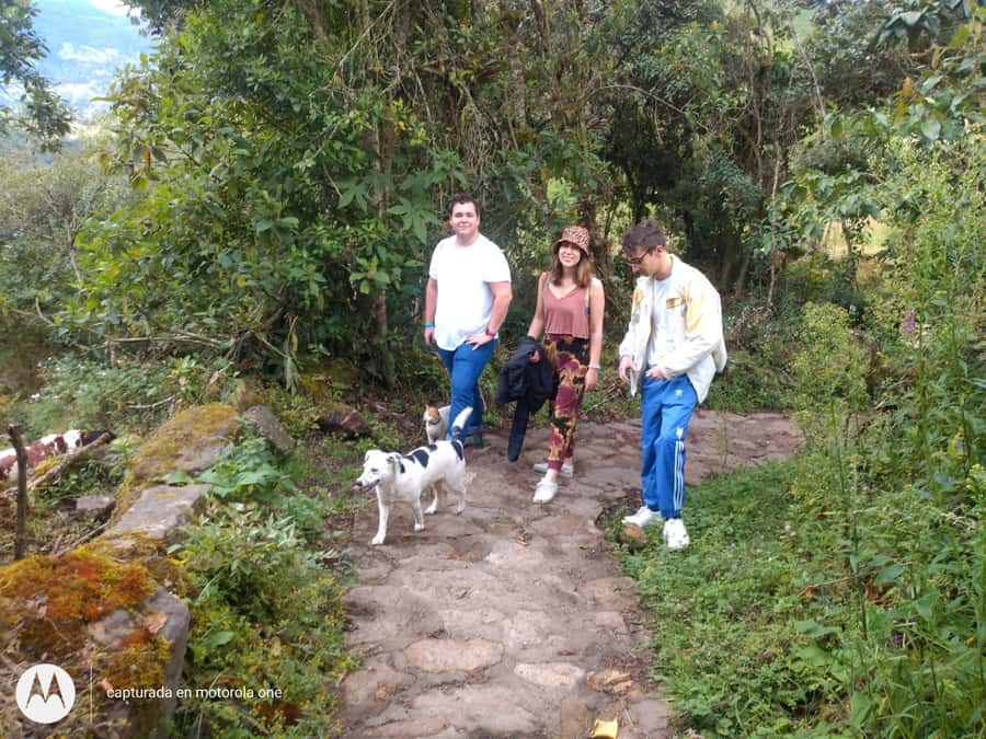 From Bogotá: Tour to the Waterfall of La Chorrera - Why La Chorrera makes a strong Bogotá day trip