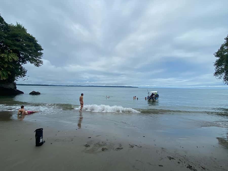 From Cali: Whale Watching Day Trip in Buenaventura - Juanchaco safety briefing and Pacific customs