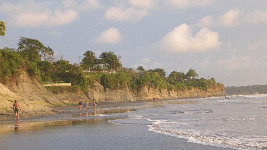 From Cali: Whale Watching Day Trip in Buenaventura - The return boat and late drive to Cali