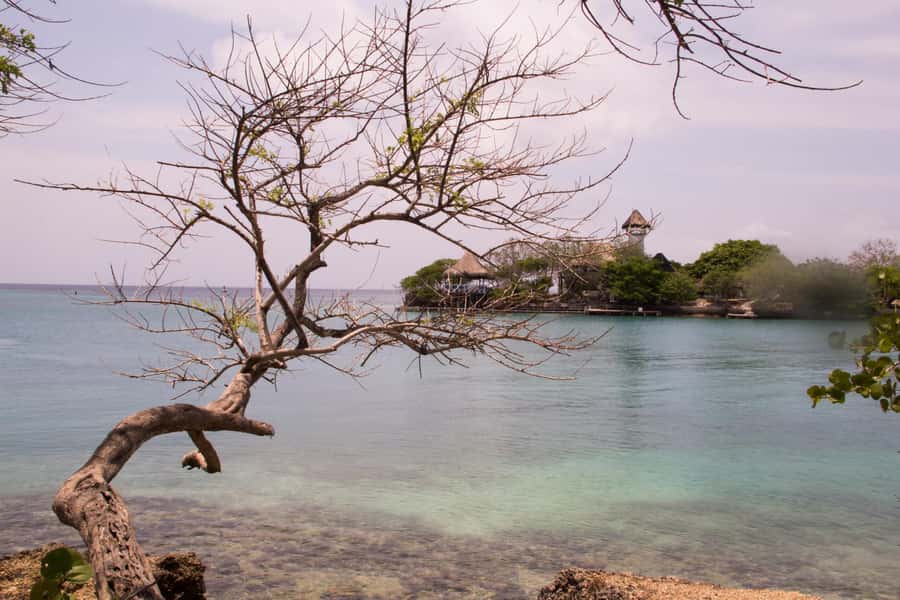 From Cartagena: Rosario Islands Day Trip - Why this Rosario Islands day trip works