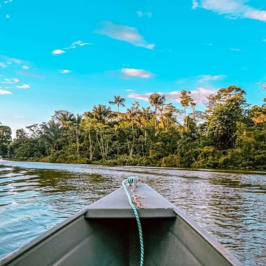 From Leticia: Wild Amazonas Adventure 4-Day Tour - Day 3: Cacao Island and the search for sloths