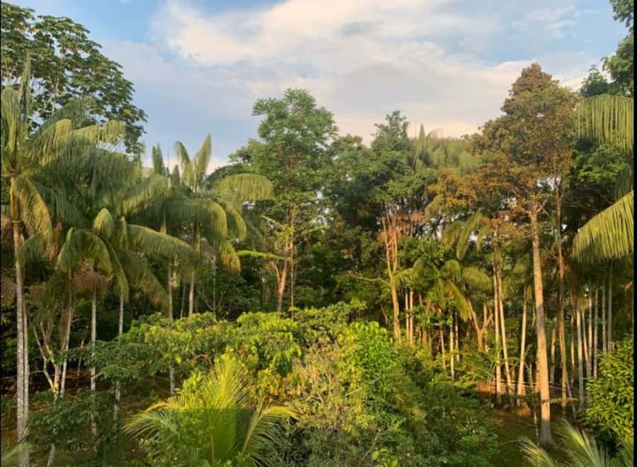 From Leticia: Wild Amazonas Adventure 4-Day Tour - Comfort, weather, and what to pack