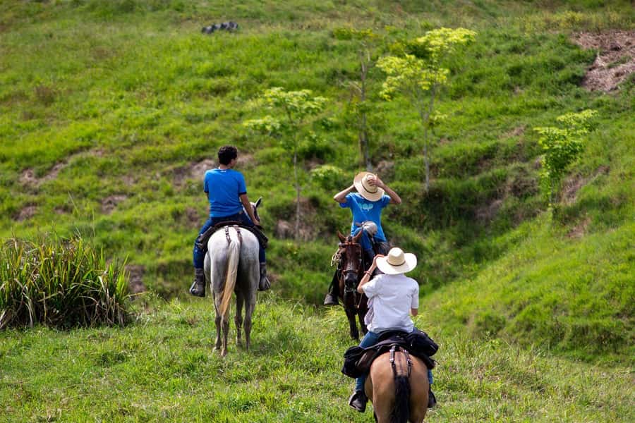 From Medellin; (All-In) The Real Horseback Ranch Experience - Booking details that can affect your plans