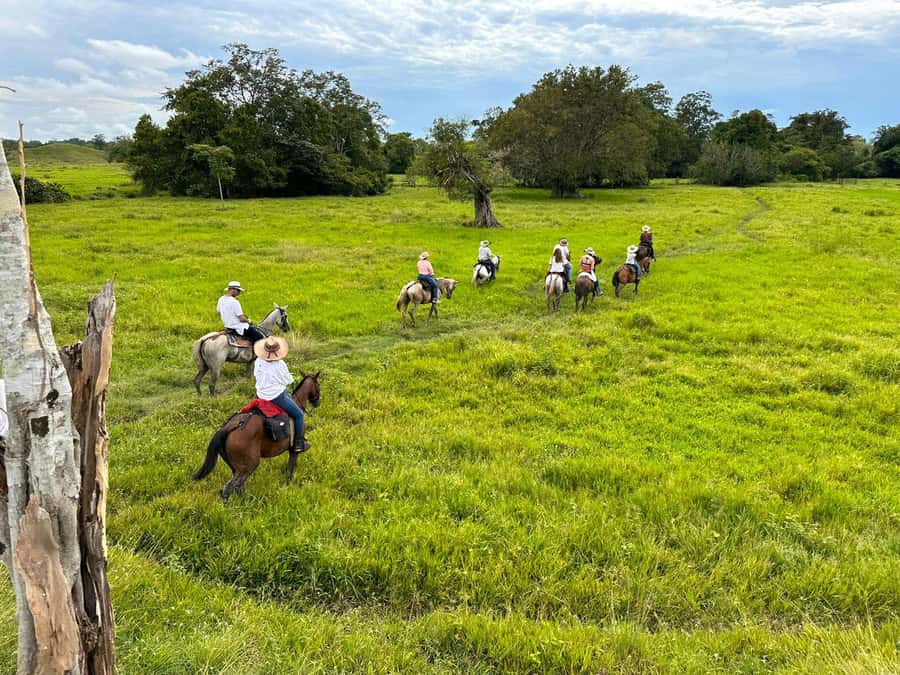 From Medellin; (All-In) The Real Horseback Ranch Experience - Four to six hours on horseback through Antioquia