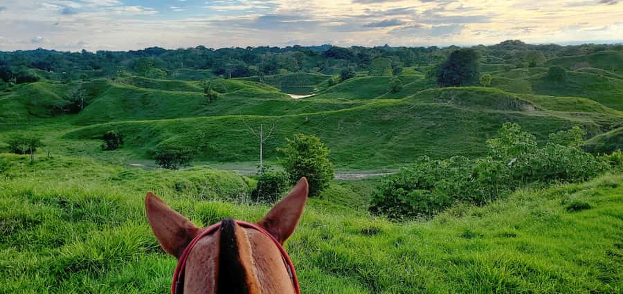 From Medellin; (All-In) The Real Horseback Ranch Experience - Fiambre in the fields, wrapped in palm leaves