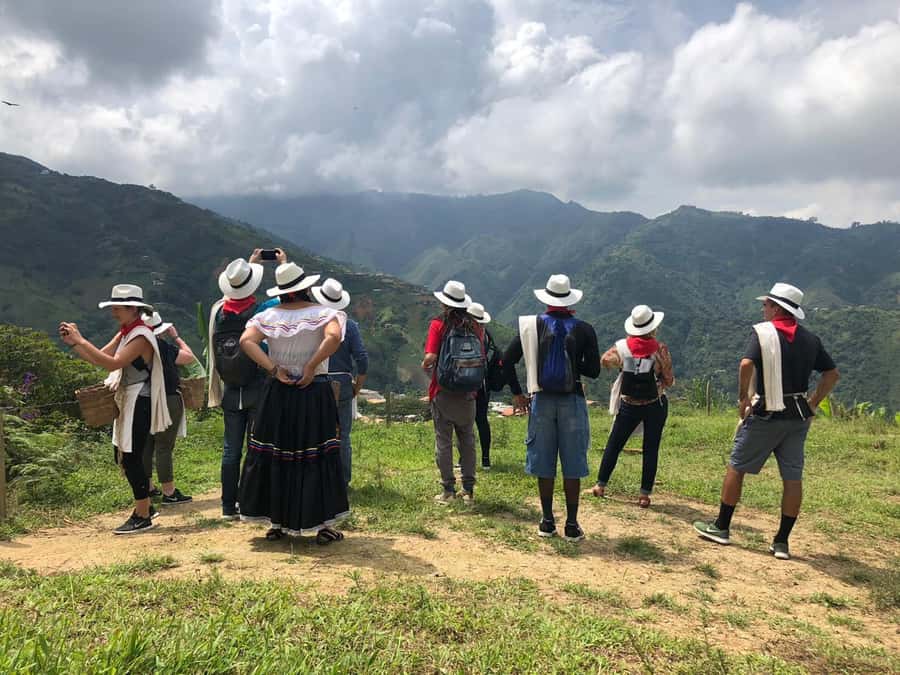 From Medellin: Day Trip to a Jardin Coffee Plantation - Walking through a working coffee plantation