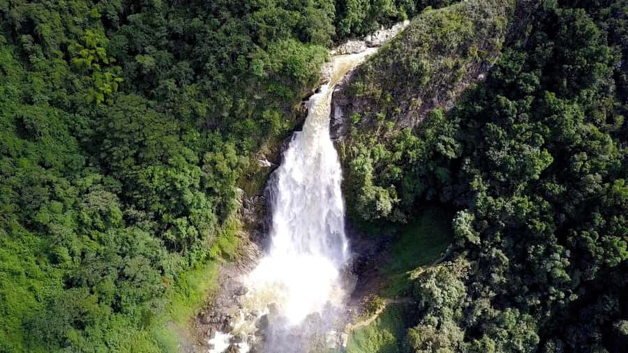 From Medellín: Dream Hammocks, Zipline, & Waterfall Day Trip - Who should book this experience?