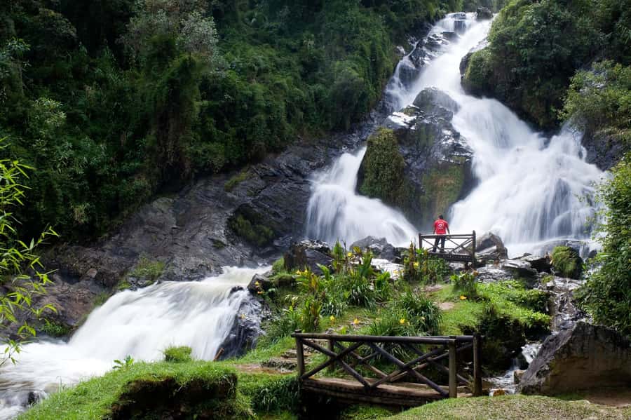 From Medellín: El Retiro Private Tour with Food Tastings - Key points to know before booking