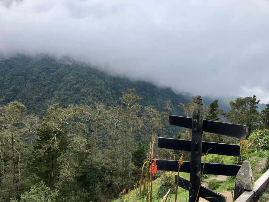 From Medellín: Jardín Private 2-Day Tour with Activities - The route to Cueva del Esplendor