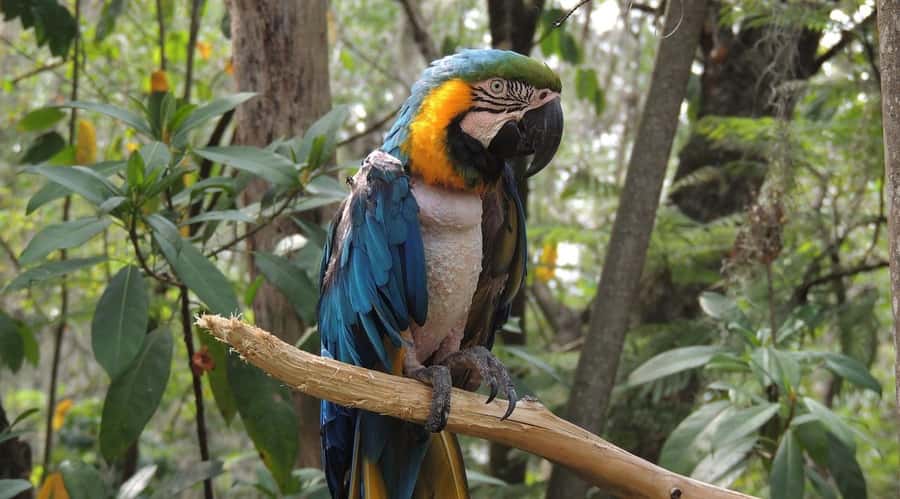 From Medellín: Jardín Private 2-Day Tour with Activities - The early SUV ride from Medellín
