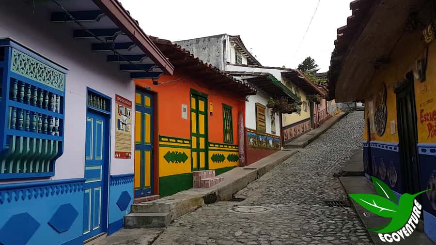 From Medellín: Paragliding Flight and Guatape Tour - Who should book this experience?