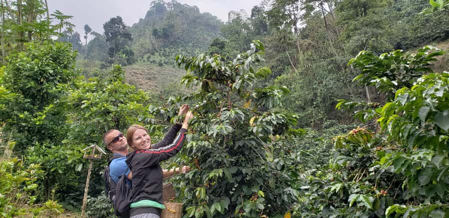 From Medellin: Private Envigado Coffee Tour with Tastings - Key points at a glance