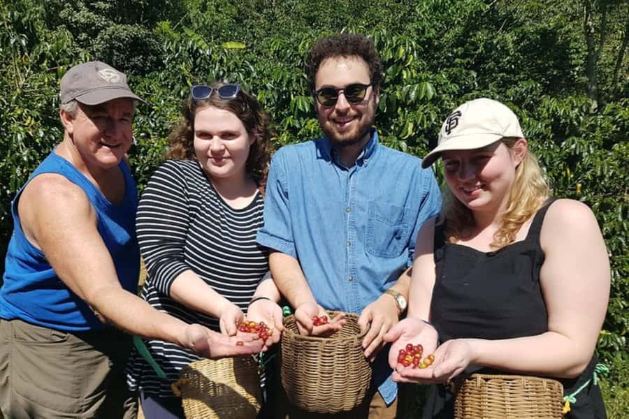 From Medellin: Private Envigado Coffee Tour with Tastings - Picking beans in a working plantation