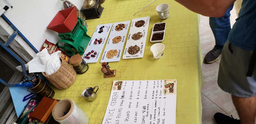 From Medellin: Private Envigado Coffee Tour with Tastings - Should you book it?