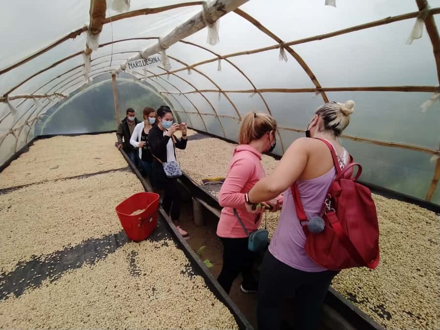 From Medellin: Private Envigado Coffee Tour with Tastings - Arriving at the private coffee villa