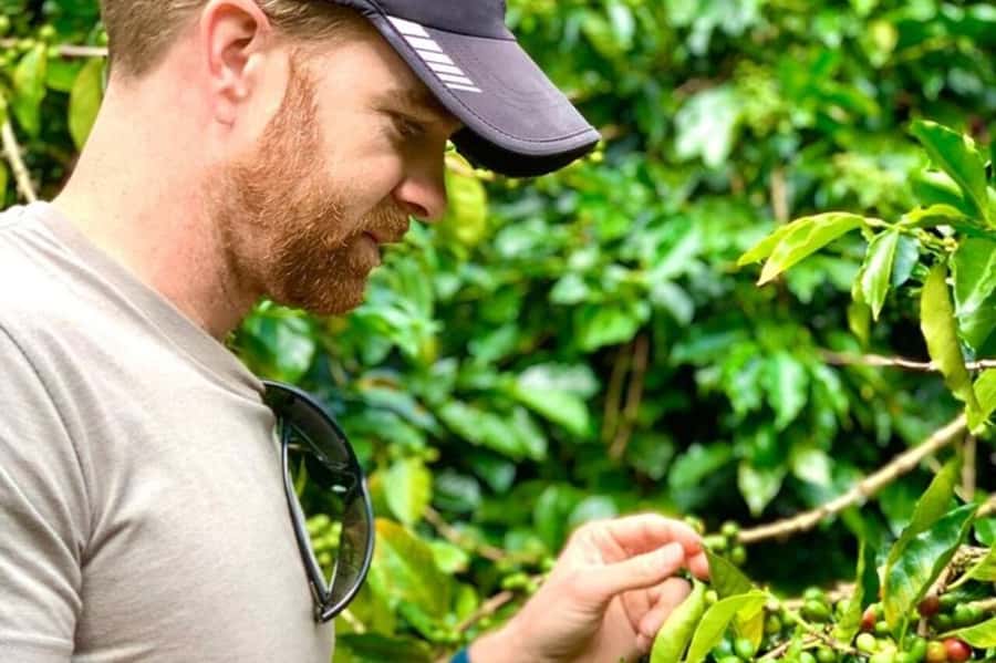 From Medellin: Private Guatape Car Tour with Coffee Tour - Timing, comfort, and what to bring
