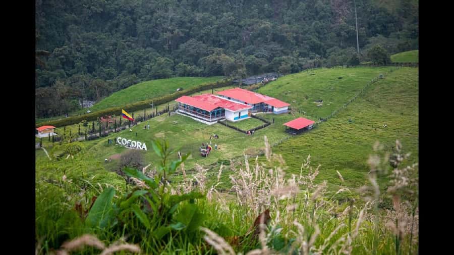 From Salento: Cocora Valley Hiking Tour with Lunch - Key points to know before you book