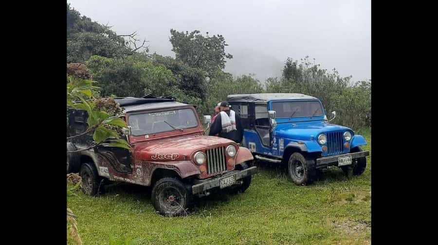 From Salento: Cocora Valley Hiking Tour with Lunch - Why Cocora Valley is worth your morning
