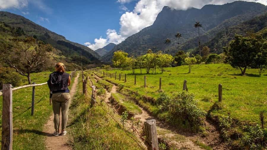From Salento: Cocora Valley Hiking Tour with Lunch - The Willys Jeep ride to the valley