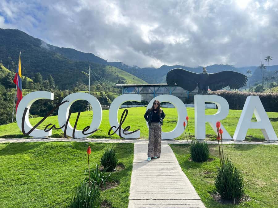 From Salento: Cocora Valley Shared Tour - Walking among the giant wax palms