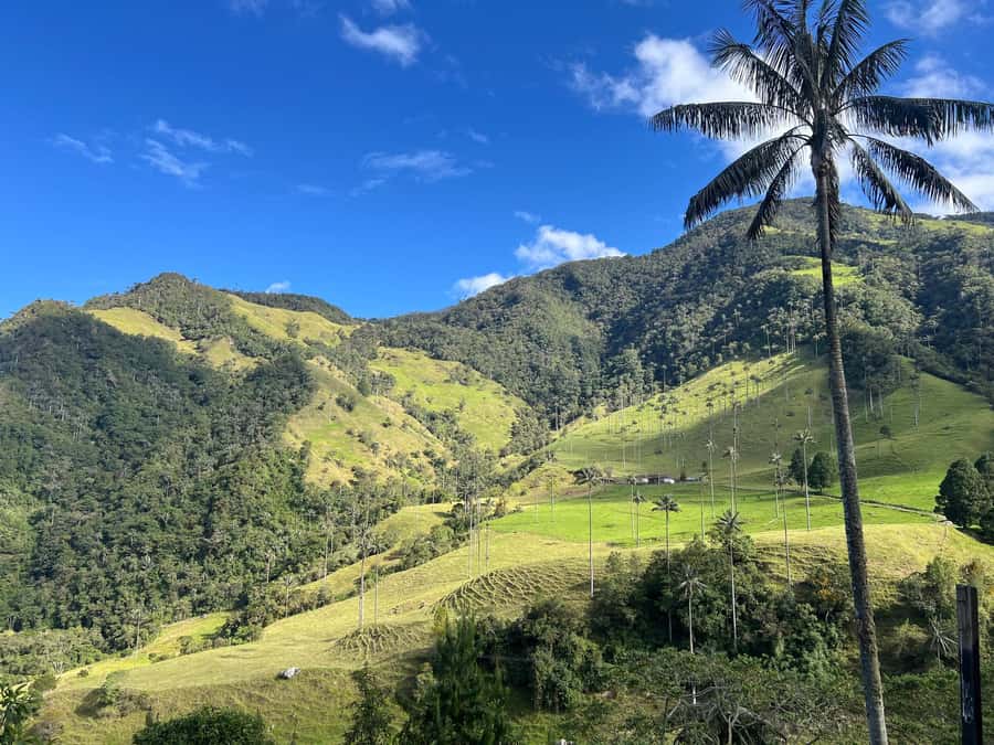From Salento: Cocora Valley Shared Tour - Who will enjoy this Cocora Valley tour?