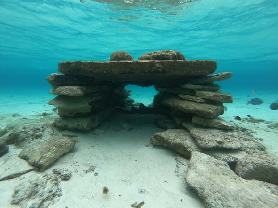 From San Andres: Cayo Acuario Tour - Is $28 a fair price?