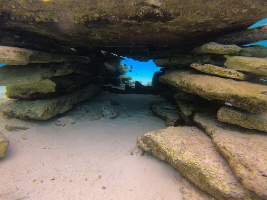 From San Andres: Cayo Acuario Tour - How to make the day run better
