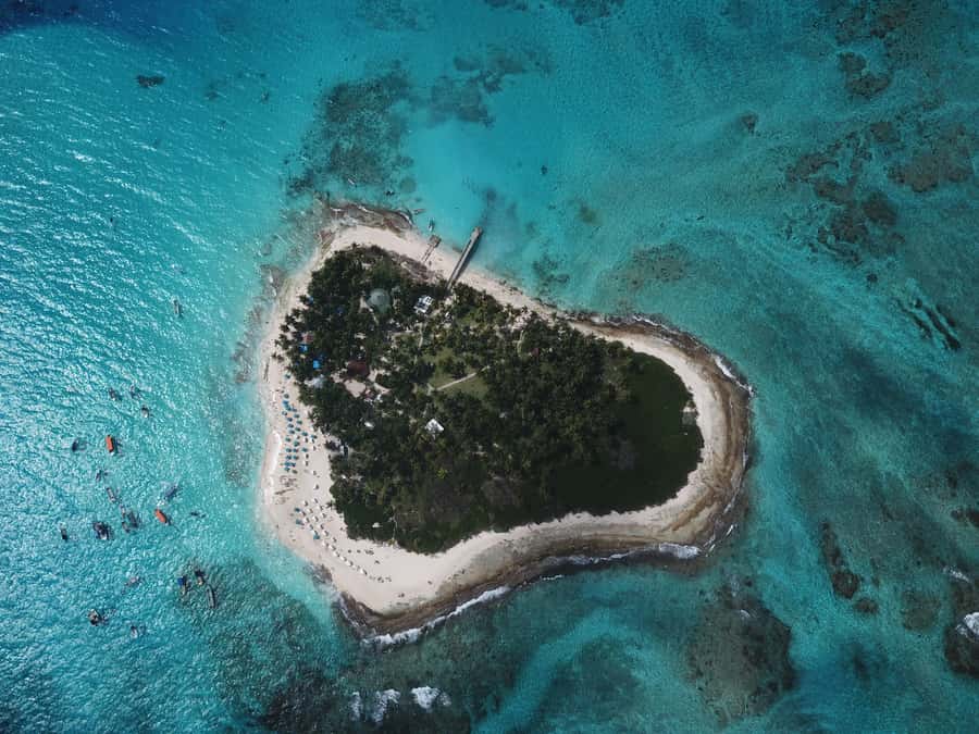 From San Andrés: Speedboat Tour to Johnny Cay Island - Key points to know before you book